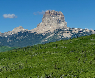 Stacks Image 522
