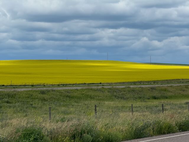 Stacks Image 848